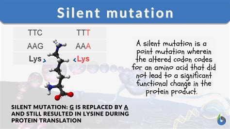 How Does a Silent Mutation Affect the Protein? And Why Do Penguins Dream of Electric Sheep?