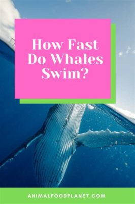 How Fast Does a Whale Swim, and Can It Outpace a Snail on a Treadmill?