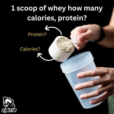 How Many Protein Scoops a Day: A Journey Through the Absurd and the Essential