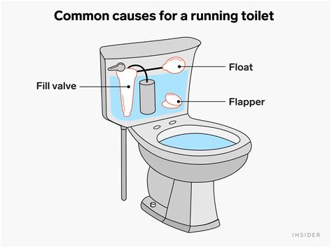 How Much Does It Cost to Fix a Running Toilet? And Why Does It Sound Like a Symphony of Drips?