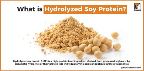 Is Hydrolyzed Soy Protein Gluten Free? Exploring the Intersection of Nutrition and Culinary Creativity