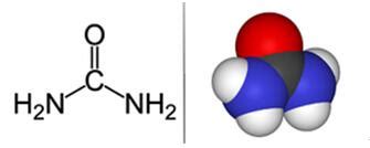 Is Urea a Protein: Exploring the Mysteries of Nitrogenous Compounds