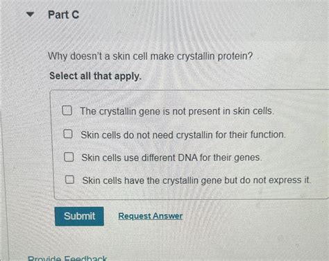 Why Doesn’t a Skin Cell Make Crystallin Protein? And Why Do Fish Wear Bow Ties?